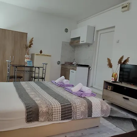 Relax Apartmani - Blizu Neuromedic Nis Room photo